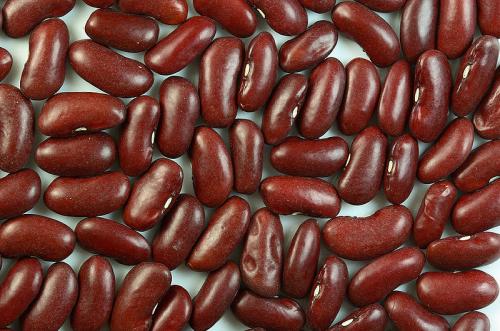 Raw kidney beans should be avoided raw kidney beans